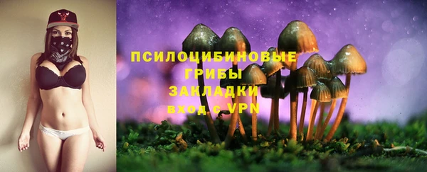 mdpv Белокуриха
