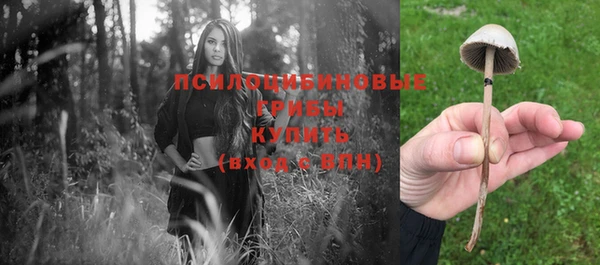 mdpv Белокуриха