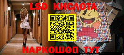 spice Камышлов