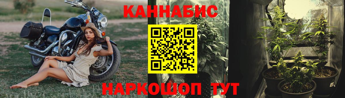 МАРИХУАНА Ganja Лыткарино